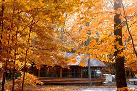 Recreation | High Cliff State Park | Wisconsin DNR Apostle Islands National Lakeshore, Driftless Area, Wisconsin State Parks, Wisconsin Camping, Travel Wisconsin, Cedar Forest, Apostle Islands, Fall Camping, Leaf Peeping