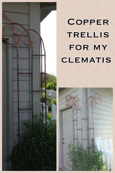 Copper corner trellis. I couldn't find one, so I had to make my own! Wire Trellis Ideas, Clematis Trellis Ideas, Corner Trellis, Copper Trellis, Backyard Trellis, Fenced Garden, Clematis Trellis, Wire Trellis, Rusty Garden