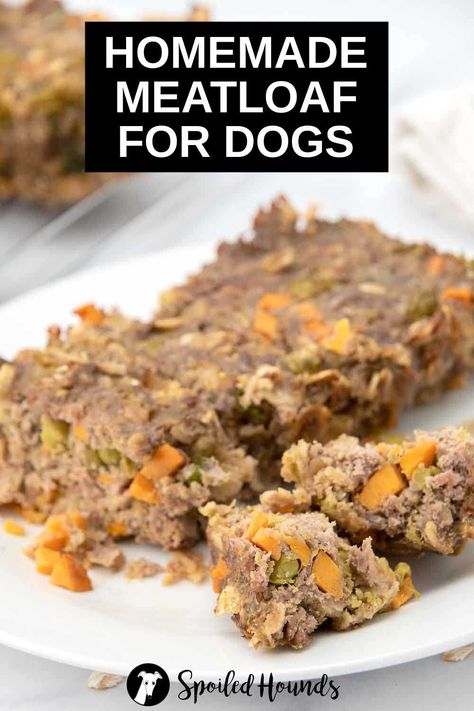 Homemade Dog Food Recipes Chicken, Ground Turkey Dog Food, Ground Turkey Instant Pot, Meatloaf For Dogs, Turkey Instant Pot, Dog Food Ideas, Homemade Dog Food Crockpot, Dog Food Homemade, Appetizers Meat