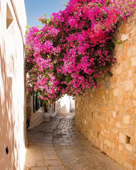 Greece whispers 🇬🇷💙🧿 | Good morning Lindos 💙 All praise belongs to photographer/owner Credit @tomplevnik Thank you for this beautiful shot 💙🧿 #gre... | Instagram Rhodes Lindos, Street Alley, Old Theatre, Dodecanese Islands, House Flowers, Rhodes Island, Walking Street, Holiday Summer, Acropolis