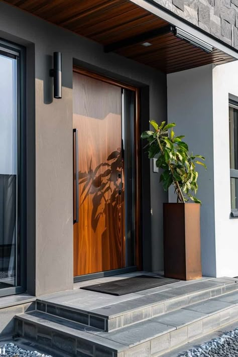 Entry doors modern