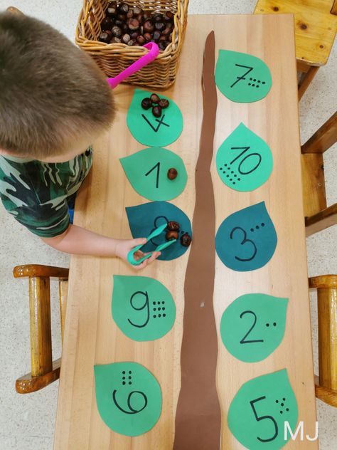 Garden Math Preschool, What Grows On Trees Preschool Activities, Tree Study Ideas For Preschool, Plants And Trees Preschool, Nature Activities Preschool, Rainforest Preschool, Diy Toddler Toys, Plants Unit, Plant Activities