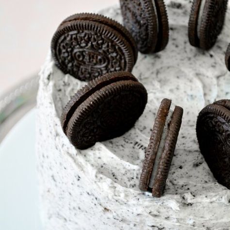 Cookies and Cream Cake - Curly Girl Kitchen High Altitude Cookies, Fluffy Cake Recipe, High Altitude Cake Recipe, Recipe For Cookies, Fluffy Buttercream, White Velvet Cakes, Oreo Buttercream, Buttermilk Cake, Cookies And Cream Cake