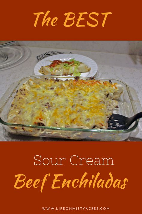 The BEST (and EASIEST) Baked Sour Cream Beef Enchiladas. This Favorite Family Recipe comes together in less than an hour. Cheesy and Creamy. Casserole style. Make ahead or freeze. Mexican Food Tacos, Healthy Sour Cream, Creamy Enchilada, Velveeta Recipes, Meatloaf Casserole, Easy Beef Enchiladas, Sour Cream Enchiladas, Food Tacos, Cheesy Enchiladas