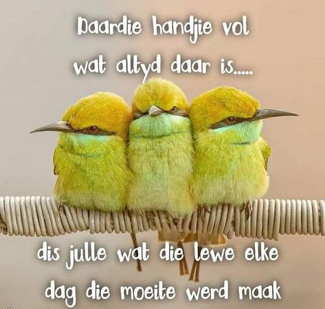 Afrikaanse Quotes Oulike, Afrikaans Quotes Inspiration, 2 Sides To Every Story Quotes, Elvis Impersonator, African Quotes, Story Quotes, Quote Pins, Home Quotes And Sayings, Good Morning Good Night