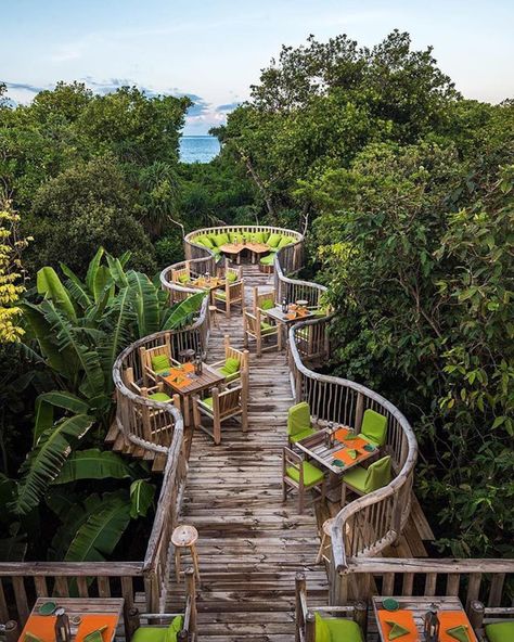 Dining in the #jungle is one thing, dining at the very top in its canopies is another. 🌴 Photo by @nodestinations of the @discoversoneva… Jungle Resort, Resort Architecture, Tree House Designs, Resort Design, Outdoor Restaurant, Restaurant Interior Design, Alam Yang Indah, Design Milk, Cafe Design