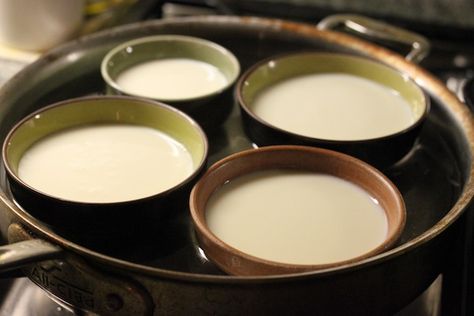 How to Make Fresh Silken Tofu from Soy Milk Homemade Soy Milk, Vegan Basics, How To Soak Beans, Vegan Tofu, Tofu Dishes, Silken Tofu, Chinese Dessert, Serious Eats, Soy Milk