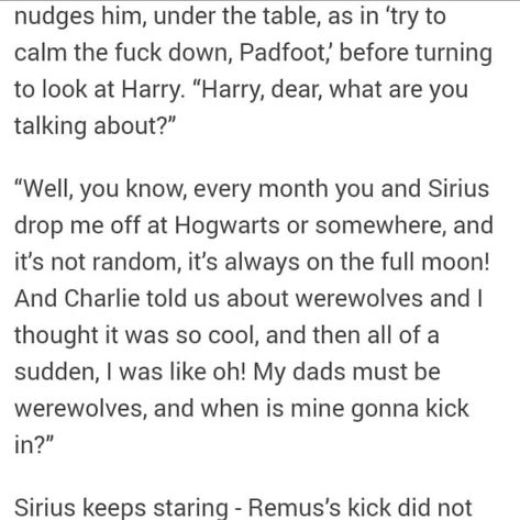 Remus Raising Harry, Wolfstar Raises Harry, Jegulus Raising Harry Headcanons, Jegulus Raise Harry, Jegulus Raising Harry, Wolfstar Raising Harry Fanart, Wolfstar Raising Harry, Wolfstar Stories, Harry Potter Tumblr Posts