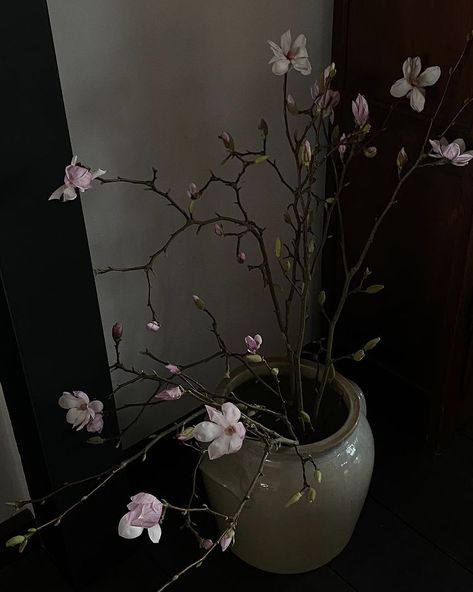 Marie Von Behrens, Japan Aesthetic, Aesthetic Japan, Flower Therapy, Ikebana, My Flower, Pretty Flowers, Dark Aesthetic, Flower Power