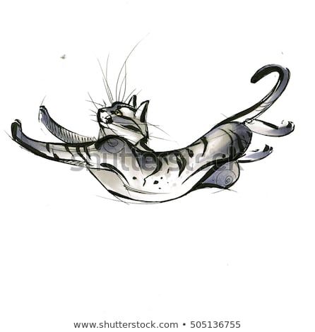 sketch of a cat jumping, painted markers on paper - buy this illustration on Shutterstock & find other images. Jumping Cat Tattoo, Cat Jumping Illustration, Cat Jumping Down, Cat Falling Drawing, Cat Jumping Drawing, Hero Journey, Cats Jumping, Feline Anatomy, Sketch Cat