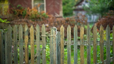 Hide The Eyesore Of Your Neighbor's Fence With A Stylish Privacy Solution - House Digest Block Neighbors View, Fence Dividing Neighbors, How To Block Neighbors View, Good Fences Make Good Neighbors Quote, Prevent Dogs From Digging Under Fence, Decorative Concrete Blocks, Patio Blocks, Breeze Block Wall, Block Layout