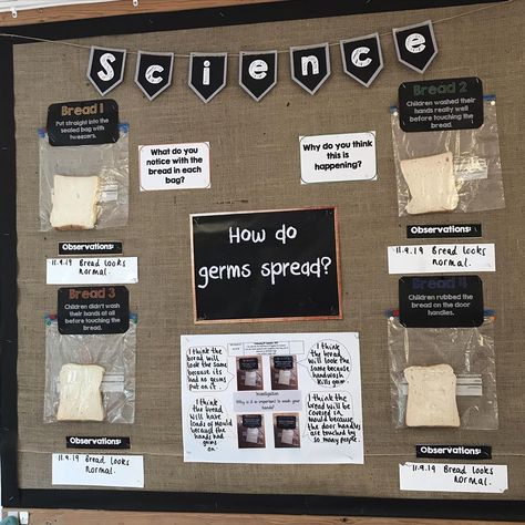 Year 1 Science Display, Interactive Display Classroom, Re Displays Ks2, Science Display Ks2, Science Classroom Display, Year 4 Classroom Ideas, Interactive Display Boards, Classroom Displays Ks2, Nursery Display Boards