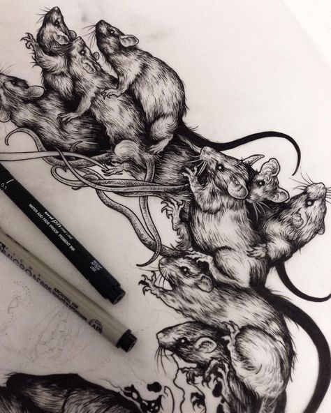 Rat Ink Drawing, Rat Tattoo Blackwork, Rat Art Dark, Rats Illustrations, Rat Drawing Reference, Rat Draw, Rat Tattoo Design, Rats Drawing, Rat Illustration