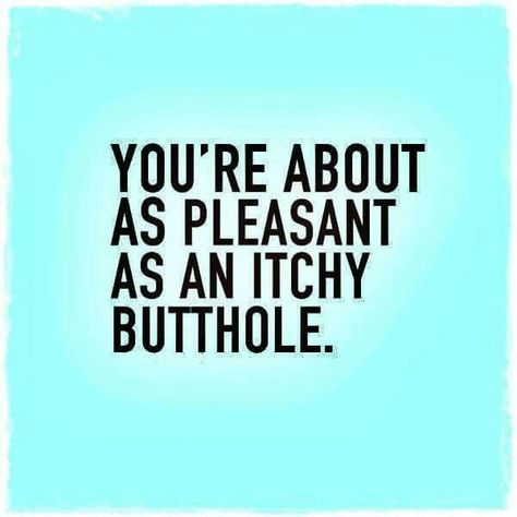 You're about as pleasant as an itchy butthole. | I Swear ... Gross Quotes, Funny Southern Sayings, Pinterest Funny, Southern Sayings, You Make Me Laugh, Work Motivation, Sassy Quotes, Oh Well, What Do You Mean