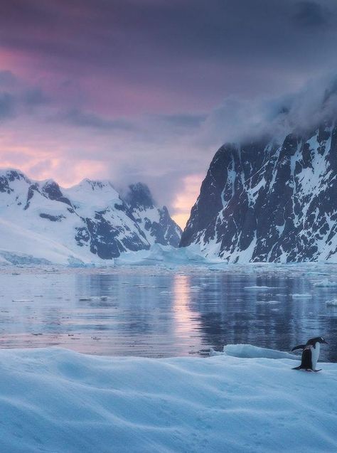 Lemaire Channel Sunset (Antarctica) by Daniel Kordan   Antarctica Travel Destinations | Antarctica Honeymoon | Antarctica Vacation | Antarctica Photography | Antarctica Cruise | Antarctica Holiday | Antarctica Trip #travel #honeymoon #vacation #backpacking #budgettravel #offthebeatenpath #bucketlist #wanderlust #Antarctica #visitAntarctica #TravelAntarctica #AntarcticaTravel Antarctica Cruise, Antarctica Travel, Arctic Landscape, Kunst Inspiration, Biome, Snow And Ice, Places Around The World, Travel Bucket, Travel Aesthetic