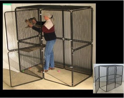 Cat Cages Indoor, Cool Cat Beds, Outdoor Cat Tunnel, Diy Cat Enclosure, Ferret Cage, Cat Fence, Cat Ownership, Cat Kennel, Cat Patio