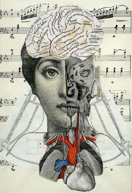 Anatomie of beauty by Crafty Dogma Soul Collage, Collage Kunst, Psy Art, Foto Art, Anatomy Art, Mixed Media Collage, Art Plastique, Grafik Design, Altered Art