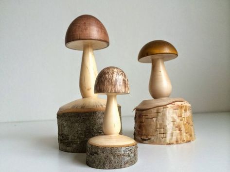 Mushrooms Wood Turning Mushrooms, Wood Turned Mushrooms, Wooden Mushrooms, Tre Kunst, Woodturning Ideas, Woodworking Lathe, Wood Turning Lathe, Lathe Projects, Wood Turner