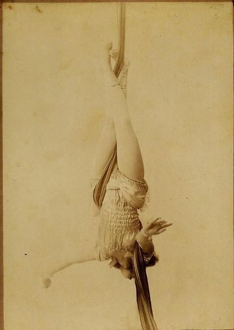 Vintage Circus Photos, Circus Pictures, Cirque Vintage, Circus Vintage, Old Circus, Circus Aesthetic, Circus Sideshow, Dark Circus, Haunting Photos