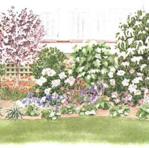 garden layout Foundation Garden Plans, Border Garden Plan, Duck Run, Foundation Garden, Border Garden, Perennial Garden Plans, Garden Front Yard, Shed Garden, Front Yard Landscape