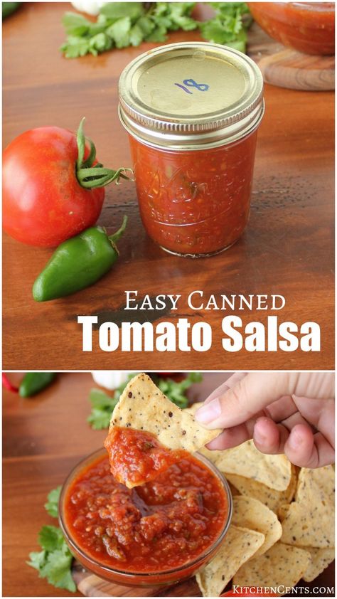 Canned Restaurant Salsa Recipe, How To Can Salsa Easy, How To Can Homemade Salsa, Small Batch Canned Salsa, Mrs Wages Salsa Recipe Copycat, Mrs Wages Salsa Recipe, Salsa Spices, Homemade Canned Salsa, Salsa With Canned Tomatoes