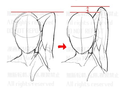 Manga Materials, Head Pose, Draw Anatomy, How To Draw Muscles, Master Drawings, Hand On Head, Anatomy References, Anime Model, Human Anatomy Drawing