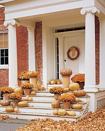 fall Martha Stewart Fall, Porche Halloween, Creative Pumpkin Decorating, Fall Front Porch Ideas, Fall Designs, Elegant Halloween, Creative Pumpkins, Front Steps, Fall Deco