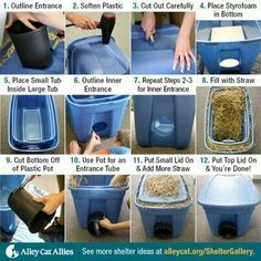 Diy Cat Enclosure, Outdoor Cat Shelter, Feral Cat Shelter, Feral Cat House, Diy Cat Bed, Cat Houses Indoor, Cats Stuff, Outdoor Cat Enclosure, Cat House Diy