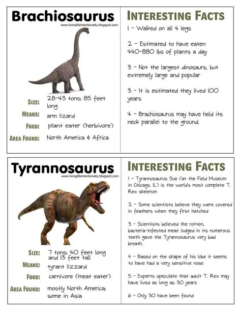 Dinosaur fact and writing.PDF - Google Drive Dino Facts, Dinosaur Facts For Kids, Dinosaur Information, Dinosaur Crafts Preschool, Crown Printable, Dinosaur Facts, Dinosaur Crafts, Facts For Kids, Prehistoric Animals