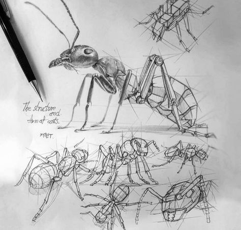 Cool Art Drawings Sketches Creative, Pencil Art Ideas, Cute Drawings For Him, Insect Anatomy, Drawings For Him, Structural Drawing, Perspective Drawing Architecture, Gcse Art Sketchbook, Inside Art