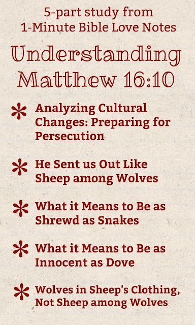 These 5 devotions help us understand Christ's words in Matthew 16:10. They prepare us for persecution and mistreatment. Matthew 10:16, Matthew 10 16, Bible Love Notes, Prayer Partner, Matthew 16, Matthew 10, Stand Firm, Bible Love, Scripture Reading