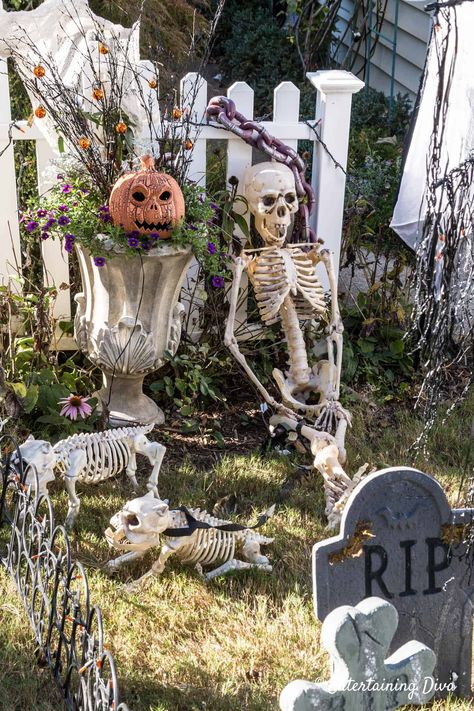 Great Halloween graveyard ideas for your front yard. I can't wait to set up a spooky outdoor yard haunt with skeletons, gravestones, lighting and critters. #entertainingdiva #halloween #halloweengraveyard #yardhaunt #halloweenoutdoordecor #halloweencemetery #spooky #halloweendecor #halloweendecorations #diyhalloween Diy Halloween Pillars, Halloween Graveyard Ideas, Diy Halloween Graveyard, Halloween Fence, Halloween Gravestones, Halloween Cemetery, Easy Diy Halloween Decorations, Yard Haunt, Halloween Graveyard