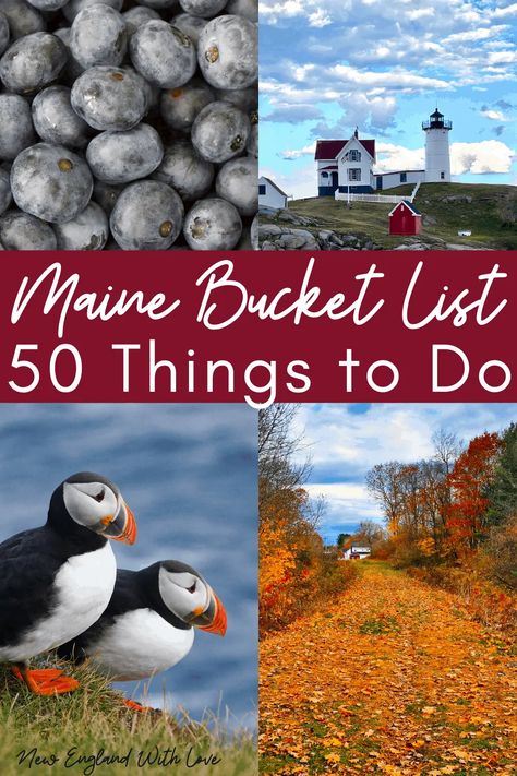 New Hampshire Things To Do In, Lamoine Maine, Maine Bucket List, Bucket List Places To Visit, Things To Do In Maine, Travel Maine, Bucket List Places, Maine In The Fall, Maine Road Trip