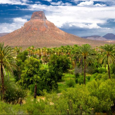 La Purisima La Purisima, Desert Oasis, Baja California Sur, Baja California, Mount Rainier, Oasis, 404 Not Found, Favorite Places, Real Estate