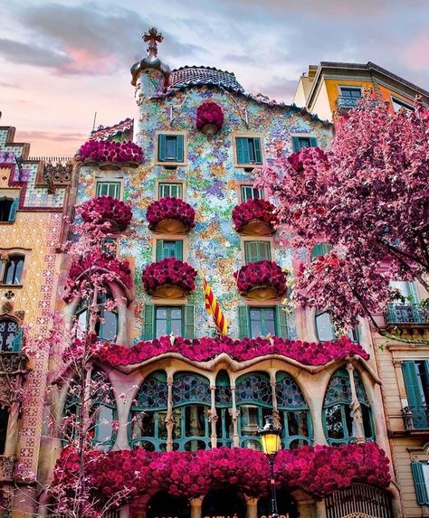 📌Casa Batlló , Designed by Antoni Gaudí Gaudi Barcelona, Spanish Architecture, Antoni Gaudi, Destination Voyage, Beautiful Places To Travel, Civil Engineering, Spain Travel, Travel Inspo, Pretty Places