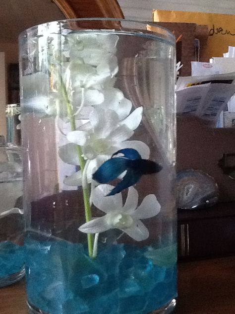 Mock up of the beta fish centerpieces with orchid stem and sea glass Beta Fish Centerpiece, Goldfish Centerpiece, Fish Centerpiece, Beach Wedding Centerpieces, Sea Baby Shower, Sea Wedding, Beta Fish, Mermaid Baby Showers, Under The Sea Theme