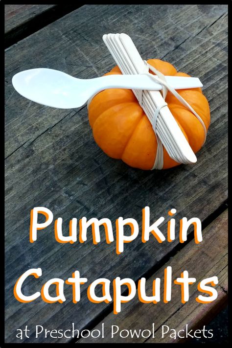 Awesome! Make pumpkin catapults this fall!! Perfect STEM / Science for all ages, preschool - high school!! November Stem Activities, Pumpkin Catapult, November Stem, Pumpkin Activities Preschool, Math Stem Activities, Fall Stem Activities, Pumpkin Lessons, Pumpkins Preschool, Science Homeschool