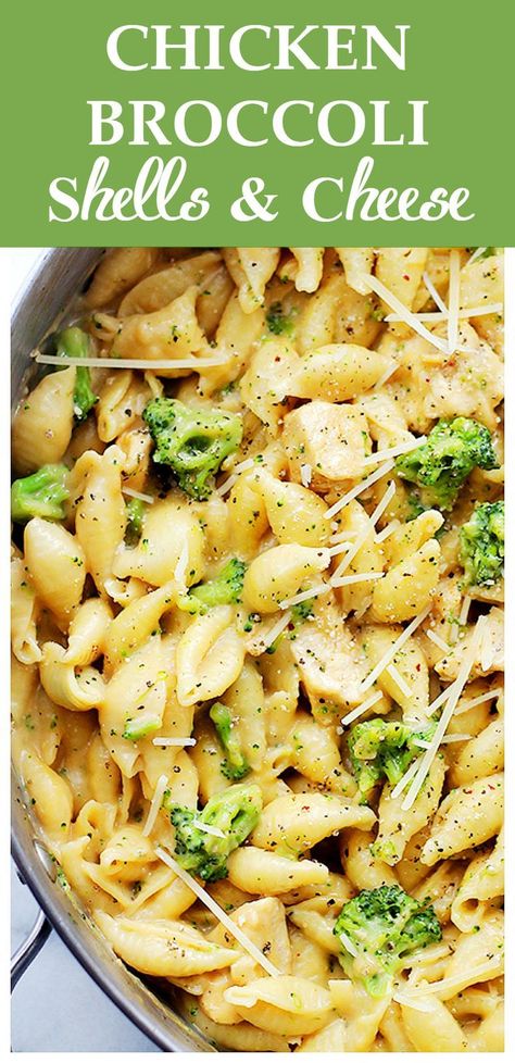 Chicken-Broccoli Shells and Cheese | www.diethood.com | Homemade, lightened-up shells and cheese, tossed with chicken and broccoli florets. Shells And Cheese, Pasta Casseroles, Grains Recipes, Weeknight Pasta, Cheese Stuffed Shells, Pasta Chicken, Fitness Recipes, Barbecue Ribs, Chicken And Broccoli