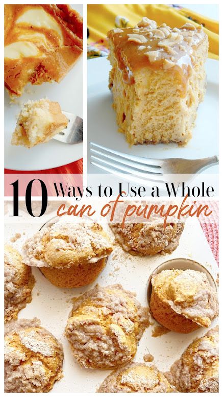 10 Ways to Use a Whole Can of Pumpkin 1 Can Pumpkin Recipes, Chocolate Pumpkin Desserts, Iowa Food, Pumpkin Cream Cheese Bars, Layered Pumpkin Dessert, Canned Pumpkin Recipes, Pumpkin Streusel Muffins, Can Pumpkin, Pumpkin Mac And Cheese