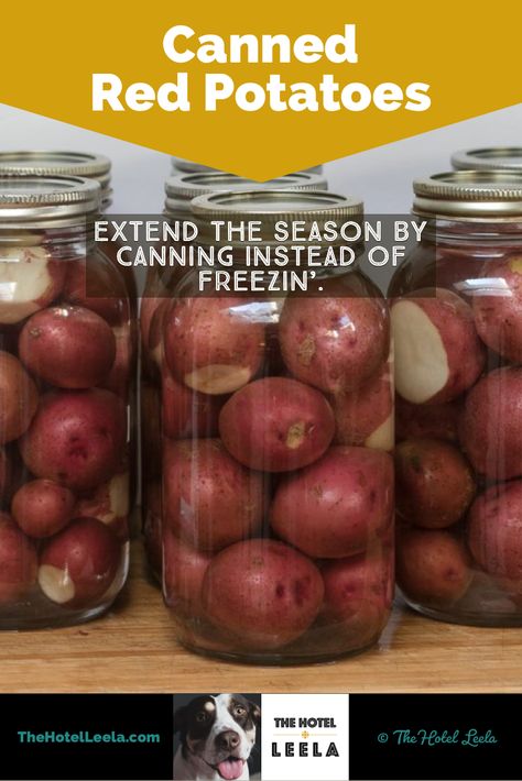 Canning For Winter, Canning Recipes For Diabetics, Pressure Canning Red Potatoes, Canning Red Potatoes Pressure Cooker, How To Can Red Potatoes, Canning Must Haves, Preserved Potatoes, Canning Potatoes With Skin On, Canning New Potatoes