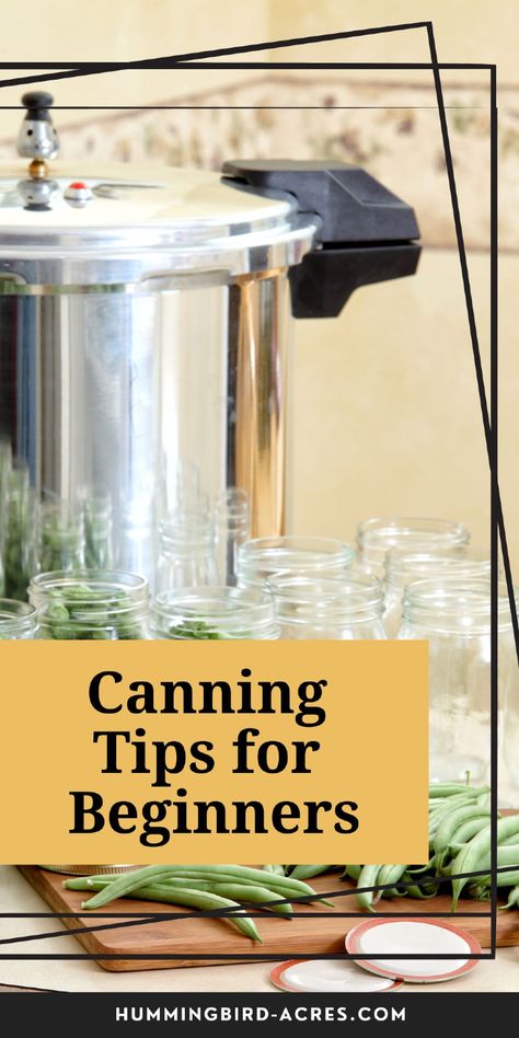 Want to learn canning but don't know where to start? This beginner's guide is packed with tips and tricks to get you canning like a pro in no time! Canning For Beginners, Foods At Home, Low Acid Recipes, Weck Jars, Canning Tips, Pressure Canner, Canned Fruit, Home Canning, Homemade Jam