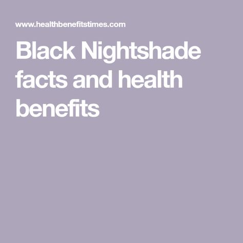 Black Nightshade facts and health benefits Black Nightshade, Nightshade Plant, Sooth Sore Throat, Kidney Function, Herbal Salves, Stomach Ulcers, Help Digestion, Healing Plants, Relieve Back Pain