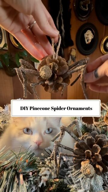 Black Cat Crafts on Instagram: "🌲🕷️🌲 DIY Pinecone Spider Ornaments   #creepmas #diy #yule #darkandmoody #krampus #christmasdecor #darkchristmas #yuledecorations #spooky #gothmas #christmastree #christmasdecorations #nightmarebeforechristmas #gothic" Diy Krampus Decorations, Diy Krampus, Krampus Decorations, Spider Ornaments, Diy Pinecone, Creepy Christmas, Dark Christmas, Autumn Crafts, Yule Decorations