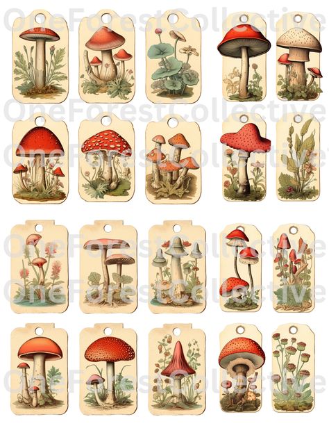 Vintage Mushroom Art, Ephemera Collage, Collage Mixed Media, Vintage Mushroom, Decoupage Art, Mushroom Art, Image Editing Software, Scrapbook Journal, Editing Software