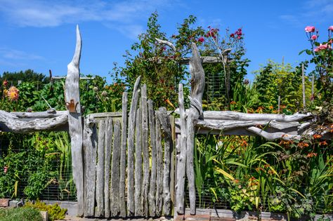 Driftwood Garden Gate, Driftwood Gate, Driftwood Fence, Natural Fences, Driftwood Garden, Fence And Gate, Natural Fence, Wood Gate, Garden Cafe