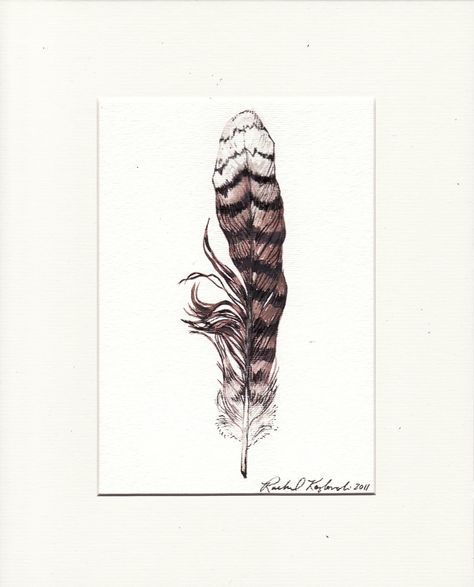 Falcon feather color pattern Dream Catcher Tat, Quill Tattoo, Falcon Feather, Tattoo Watercolor, Space Drawings, Watercolor Feather, Feather Wall Art, Feather Tattoo, Ink In Water