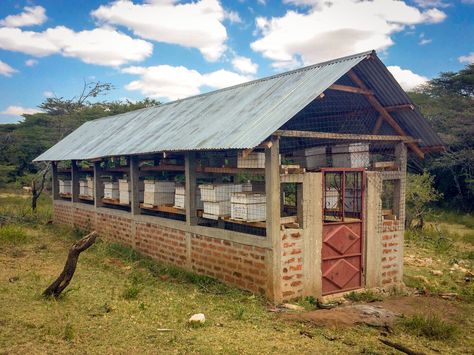 Bee Skep House, Apiary Design, Bee Keeping Hives, Honey Bees Keeping, Bee Hives Diy, Honey House, Agriculture Photography, Honey Farm, Bee Hive Plans