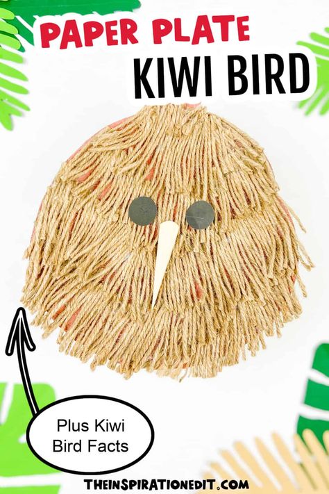 Kiwi Activities For Preschool, Kiwi Crafts For Preschoolers, K Is For Kiwi Craft, New Zealand Crafts For Kids, How To Draw A Kiwi Bird, Kiwi Food Art, Cute Kiwi Bird, New Zealand Facts, New Zealand Kiwi