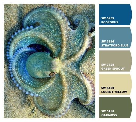 Ocean blues and greens octopus color palette Ocean Colours Palette, Ocean Pallet Color, Octopus Color Palette, Blue And Green Colour Scheme, Marine Moodboard, Alien Color Palette, Ocean Colour Palette, Octopus Mosaic, Idoneth Deepkin