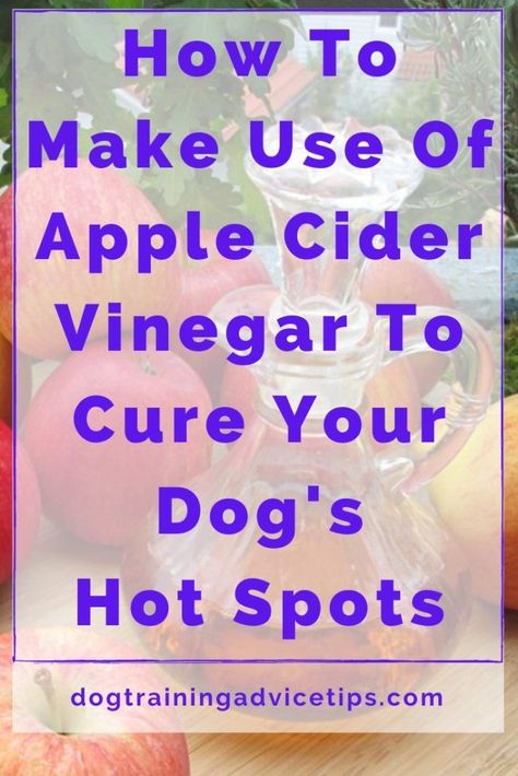 Apple cider vinegar can help stop hot spots in dogs. Learn how to use it safely and effectively with these dog training | #Apple_Cider_Vinegar_Dogs #Apple_Cider_Vinger #Dog_Science #Dog_Hot_Spots Apple Cider Vinegar Dogs, Dog Training Treats Recipe, Dog Science, Dog Hot Spots, Best Treats For Dogs, Dog Remedies, Pet Items, Spotted Dog, Dog Training Treats